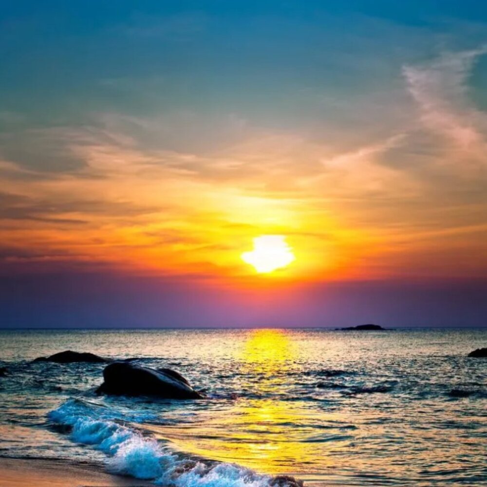 Meet your Posher, Alizarin